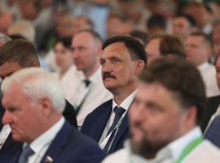 Депутат Госдумы от Волгоградской области Владимир Плотников раскрыл глаза министру Оксане Лут на «Дне поля», - «Блокнот Волгограда»
