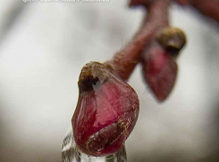 В Камышине в выходной понедельник зарядит дождь, но на подходе солнце и +6!