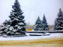 Морозы еще не добрались до максимума в Камышине