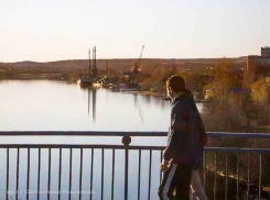 Субъектами мошеннических схем в Камышине становятся лодочные моторы, запчасти к автомобилям, кровати, щенки