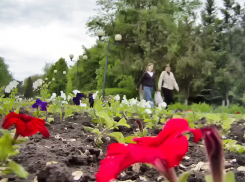 Июнь для камышан станет месяцем, щедрым на выходные
