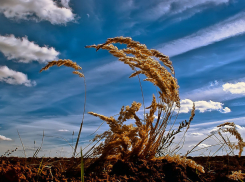 Управление МЧС по Волгоградской области распространило предупреждение о шквалистом ветре