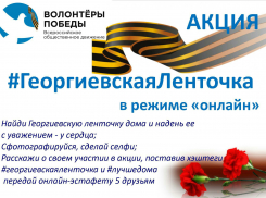 В Камышине муниципальный центр «Планета молодых» объявил, где можно получить георгиевскую ленточку