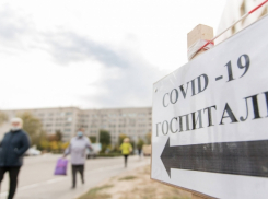 В Урюпинске ковидный больной выпал из окна больницы и скончался, - VPRAVDA.RU