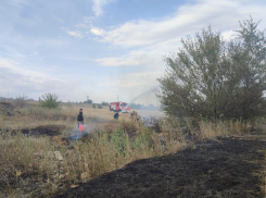 В Камышине вспыхнул «травяной» пожар у медколледжа сегодня, 3 сентября