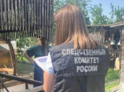Отец, мать, дочь, внук - они входили друг за другом в помещение насосной и падали замертво