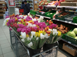 К Женскому дню синоптики обещают камышанам хорошую солнечную погоду