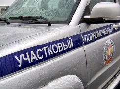 Мадам «пропела» норковую шубу в караоке, но оперативники нашли  украденный предмет гардероба