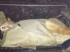 Полицейские Камышина задержали подозреваемого в браконьерстве