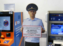 Полицейские Камышина расследуют факт крупного дистанционного мошенничества 