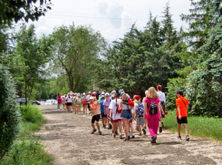 Жара и магнитная буря: погодная повестка на 4 июня в Камышине