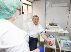 Андрей Бочаров в День донора сдал кровь для бойцов СВО, последует ли глава Камышина примеру губернатора - неизвестно