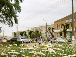 В Камышине 11 мая пройдет дождь и разыграется буря