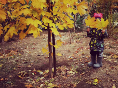 Конкурс «Блокнота Камышина» «Детки - конфетки»: "Осенний листопад"