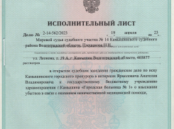 Что делать, если судебное решение вступило в силу, исполнительный лист на руках, а проигравшая сторона - горбольница №1 Камышина упирается?