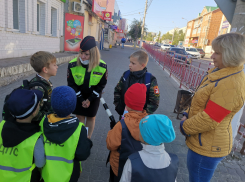 В Камышине пешеходов подучили дорожной грамоте сотрудники ОГИБДД и... детсадовцы