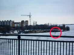 Несмотря на потепление камышане рискованно пересекают Камышинку  по льду на автомобилях