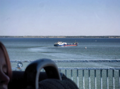 А два раза в год красить Бородинский мост бюджет Камышина не потянет? - камышанин