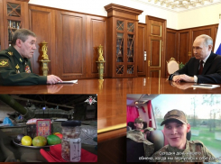 «Перемирие работает»: ВСУ лихорадочно укрепляют передний край, Зеленский мечтает о долгой передышке, - «Блокнот - Россия»