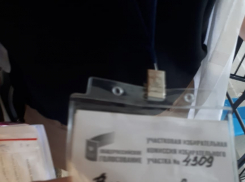 В Камышине продолжается голосование по поправкам в Конституцию методом бесцеремонного «выманивания» избирателей