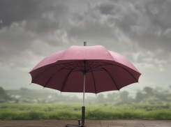 Вновь избранные депутаты Волгоградской Облдумы заказали себе сотню элитных зонтов «а-ля франсе» , - «Блокнот Волгограда»