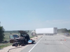 Труп в разорванной иномарке: кошмарная авария случилась во Фроловском районе