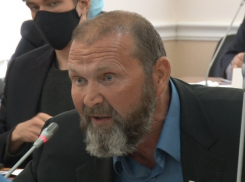 Депутат Волгоградской гордумы обозвал коллег подопытными козликами в намордниках, - ИА «Высота 102»