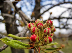 Солнечным и ветреным придет в Камышин воскресенье