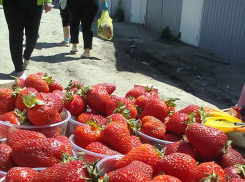 На камышинских уличных рынках появилась в продаже первая клубника