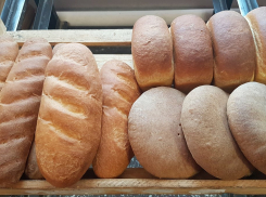 Экс-гендиректор Камышинского хлебокомбината, депутат городской думы Артем Орлов скептически отнесся к слухам об остановке предприятия