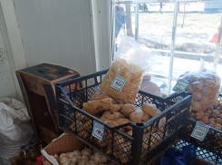 Покупатели призывают бойкотировать непомерно подорожавшие лимоны и имбирь, - «Блокнот Волгограда»