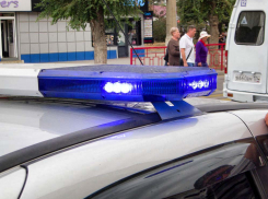 Кому и за что мстил фигурант  уголовного дела, фактически убивший камышинского пенсионера