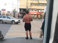 Оригинал встретил зиму в одних трусах на остановке, - «Блокнот Волгограда»
