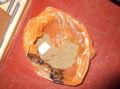 В Камышине полицейские пресекли сбыт более 500 доз синтетического наркотика