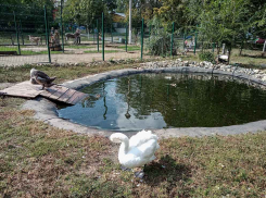 В Камышине в понедельник прольется теплый дождь