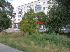 В Камышине муниципальные косари не успевают за ростом сорной травы даже на центральных улицах