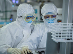 В Волгоградской области пока не получается запустить «обратный отсчет» заражениям коронавирусом