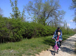 Дождь немного поднял индекс самоизоляции камышан