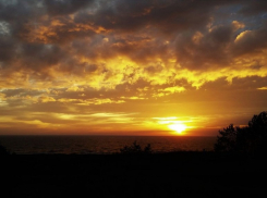 В Камышине у многоэтажки обнаружен труп с пробитой головой