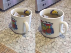 Жительница Волжского сняла на видео, как в ее мистической квартире кружка с чаем ходит по столу