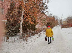 В ковидные сводки 29 декабря попали 22 камышанина, а еще один в список покойников