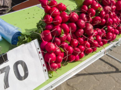 Вторник 11 апреля будет в Камышине теплым - перед чередой дождей