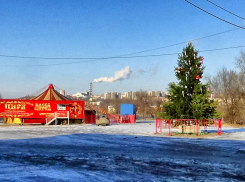 В Камышине нарядили елку в бухте