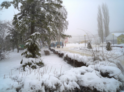 «Оранжевый» уровень погодной опасности объявлен 31 января в Волгоградской области