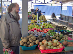 С сегодняшнего дня подорожала на полях: что говорят о картошке на рынках Волгоградской области