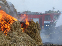 В поселке Камышинского района на телеге загорелось сено