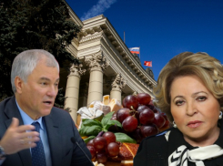 Жареные кальмары, томленая говядина и манго: «випы» Волгоградской области в ожидании новогоднего банкета с участием Матвиенко и Володина, - «Блокнот Волгограда»