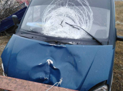 Все карты раскрылись: водитель, который сбил и оставил умирать камышанку на дороге вместе с  родственниками прятался в  лесу