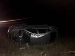 У трассы между Камышином и Волгоградом «Лада Гранта» в потемках не смогла выехать с дач и перевернулась