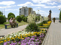 Где в Камышине наметили отключать свет завтра, 6 июля
